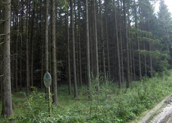 Szattán, Pankaszon, Ispánkon valamint a Vendvidék nagy részén megmaradt az erdőbirtokosság és a magán-erdőgazdálkodás.