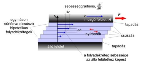 hőmérsékletgradiens