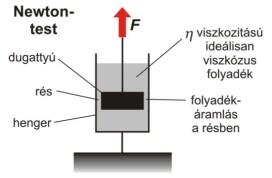 modellje: F h ~ v l.