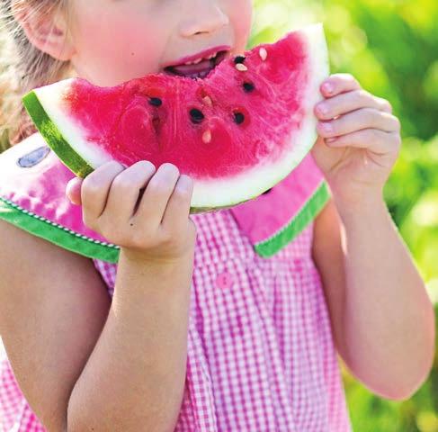 Táplálkozás, diéta A GÖRÖGDINNYE (CITRULLLUS LANATUS) A görögdinnye a tökkel, a cukkínivel és az uborkával ápol rokonságot, mégpedig a tökfélék családjában (Cucurbitaceae).