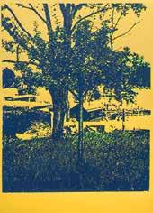 FRED ENGELBERT KNECHT (DÜBENDORF, 1934 - THALWIL, 2010) FA, 1973 / TREE, 1973 szitanyomat, karton / silkscreen on cardboard jelzett /