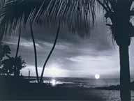 / gelatine silver print 50*40 cm 238.