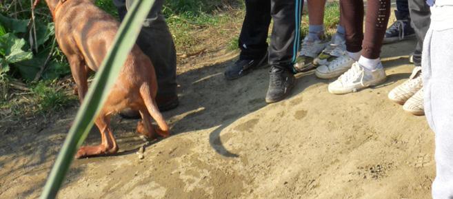 Akik olvasták Kittenberger Kálmán, Széchenyi Zsigmond vagy Fekete István vadásztörténeteit, azok némi büszkeséggel szóba is hozták ezt, hogy aztán figyelmüket lekösse a