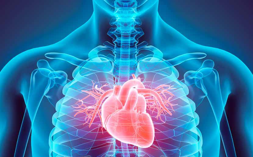 A szív fertőzéses megbetegedései A szív kétféle fertőzés okozta betegsége tartozik ebbe a témakörbe: a szívizomgyulladás (myocarditis), valamint a szívburokgyulladás (pericarditis).