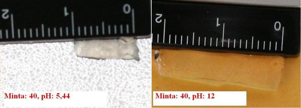 PMAA-l-PIB kotérhálók duzzadása különböző ph értékeken Relatív mintahossz (ph 5,44: 100%) [%] 250 200 150 100 50 91 100 221 98 100 190 Gélek relatív mérete ph 2-n Gélek relatív mérete ph 5,44-n Gélek