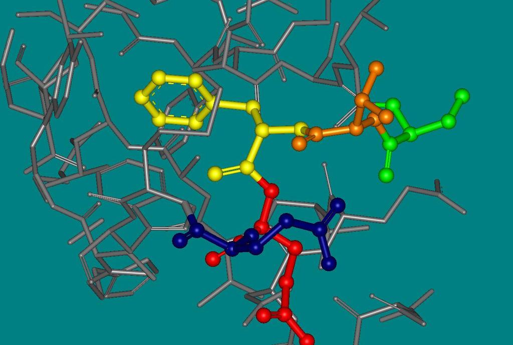 H Peptidek és fehérjék 2 Elsődleges szerkezet H H 2 N C C H H 2