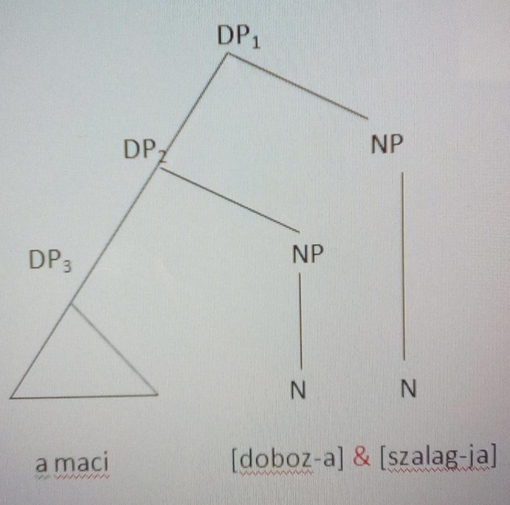 A MAGYAR REKURZÍV BIRTOKOS SZERKEZET 1?