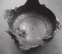 Az edény alját 2 koncentrikus bordadísz ékesíti 64. kép. Az edény aljáról készített röntgenfelvétel.