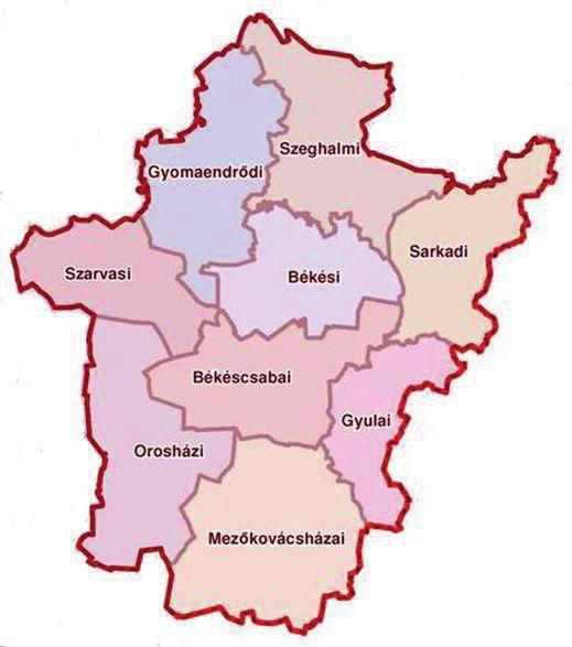 Orosházi járás 12,8 százalékkal. A megyei top 100 vállalkozások legnagyobb hányada szintén a Békéscsabai járáshoz köthetô.