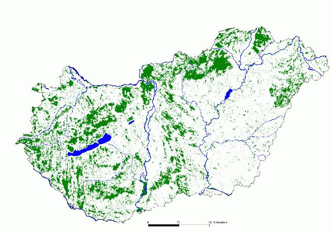 A kistérség összterületének csupán 4,03%-át borítja erdő. Ennek a nagyon alacsony erdősültségnek az eloszlása egyenlőtlen (8. táblázat).