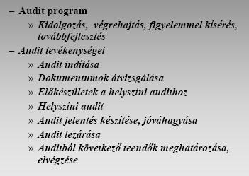 Belső audit 8.