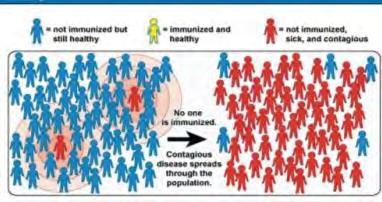 Herd-immunitás Egészséges, nem immunizált Senki nincs oltva A fogékonyak nagy része beteg lesz Egészséges és immunizált Csak néhányan oltottak