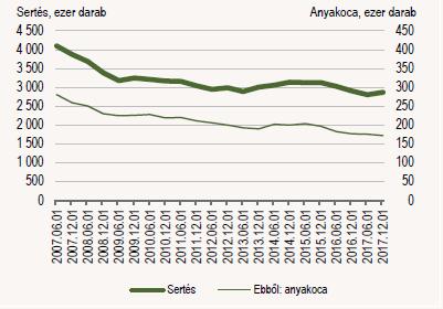 A sertés- és anyakoca állomány