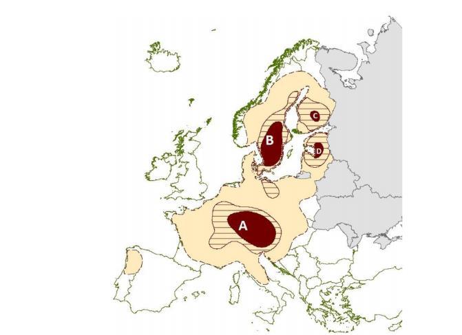 előállításban élen jár Németország, Lettország, Svédország és Ausztria, az Egyesült Államok és Kanada exportja mellett szintén jelentős EU-n belüli exporttal.