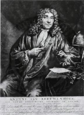 Antoni van Leeuwenhoek