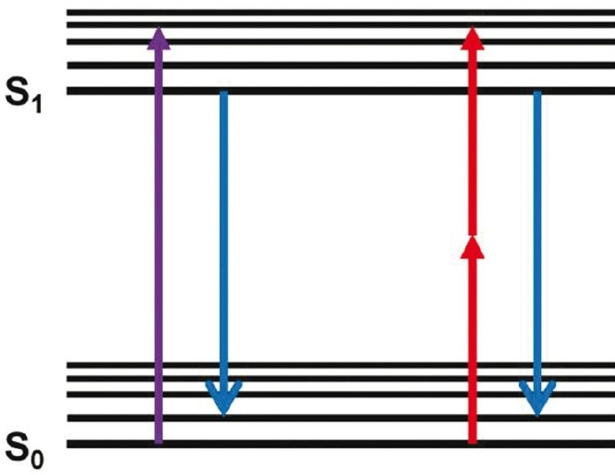 fehérjét (GFP) kifejező transzgenikus egerek