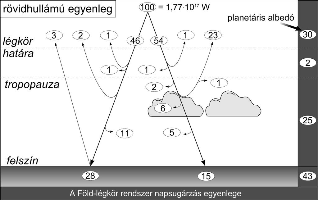 Rövidhullámú