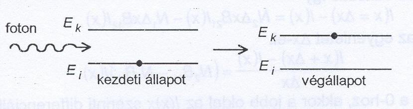 A folyamatot a 2.3. ábrán szemléltetjük. 2.3. ábra 2.4. Foton abszorpció Az elektromágneses sugárzás atommal való harmadik jellegzetes kölcsönhatása az abszorpció.