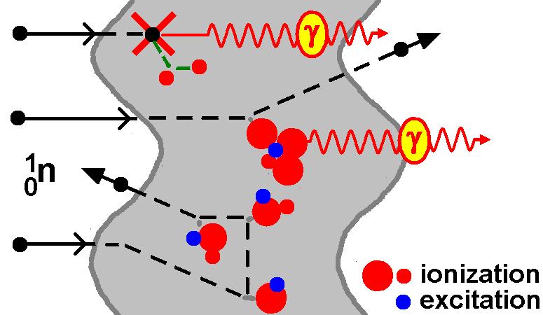 Interactions of neutrons Thermal neutron absorption Fast neutron spallation