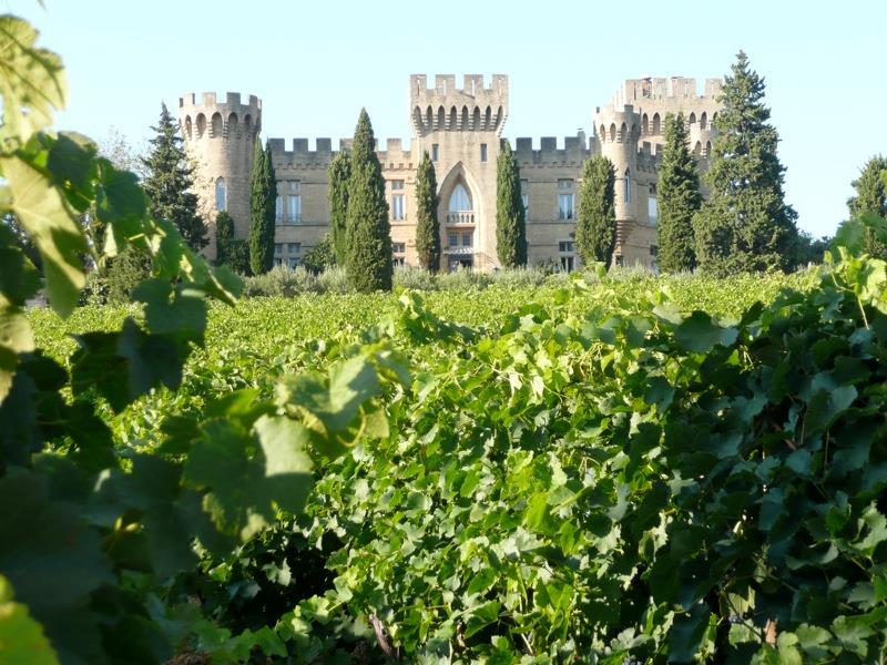 A szüret kezdete Chateauneuf du Pape-ban