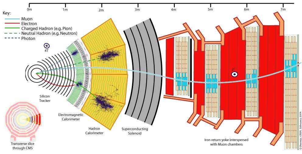 Az LHC CMS detektora Horváth Dezső: Új fizika keresése a