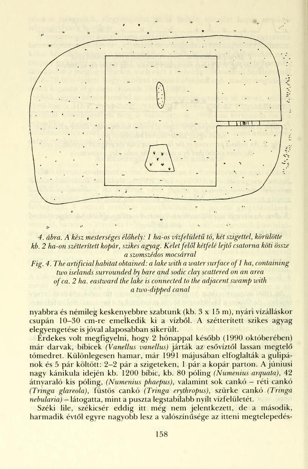 I' M II I' 4. á6ra. A kész mesterséges élőhely: 1 ha-os vízfelületű tó, két szigettel, körülötte kb. 2 ha-on szétterített kopár, szikes agyag.