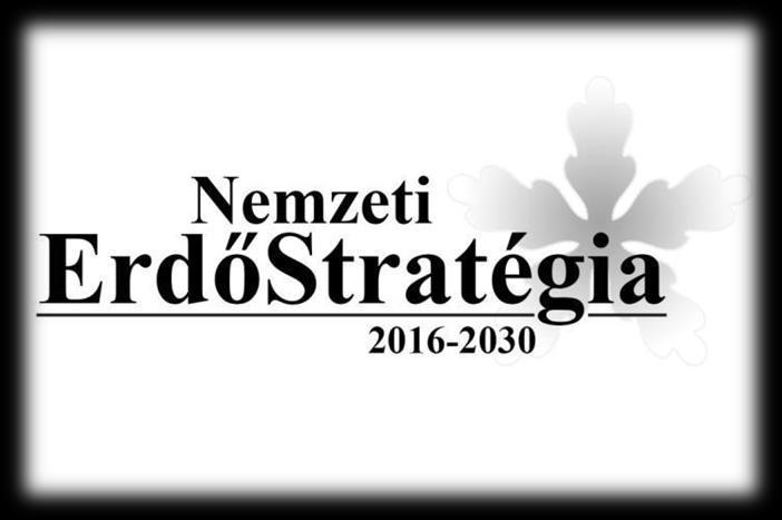 folyamat eredményeként a szakmapolitikákat integráló, középtávú