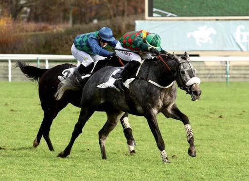 célba. Egy órával később vigasztalódott Nabet, ugyanis a négyéves és idősebb lovak számára nyitott Prix Leopold d Orsetti-ben (Gr-3, 135.000 euró) magabiztosan győzött Saint Goustan Blue partnerként.