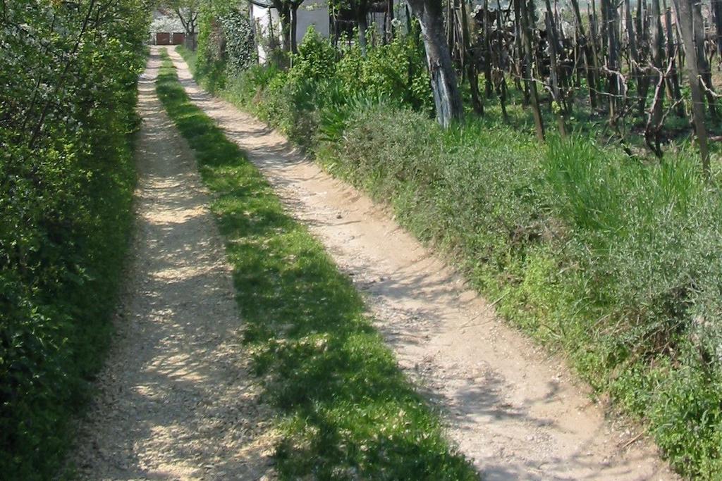 adottságait és a jellegét meghatározó természeti értékek, természeti rendszerek és az egyedi tájértékek fennmaradását (3) Egyedi tájértéknek minősül az adott tájra jellemző természeti értéke,