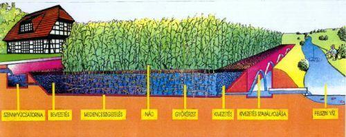A szennyvíz elhelyezése Elhelyezés: Befogadóba juttatni Beszivárogtatás