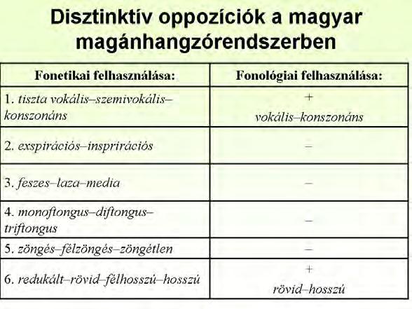 Ezek a k é p z é s i j e g y e k azonban különböző fontossággal vesznek részt a fonémák elkülönítésében.