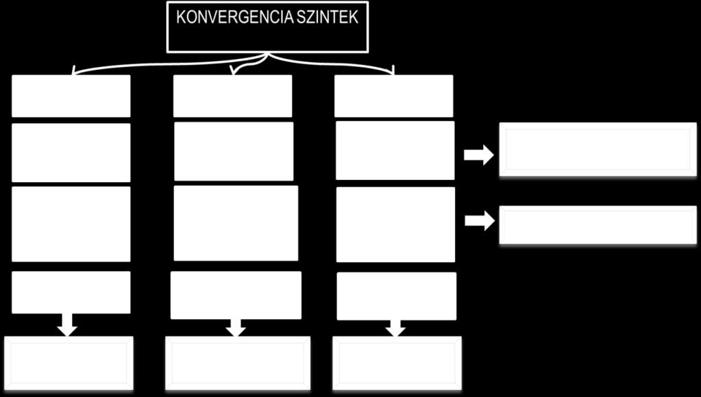 lehetséges viszonyítási alapokat elképzelhető referenciaszinteket a következő ábra mutatja: 1. ábra: Konvergencia szintjei és mérési lehetőségei Figure 1.