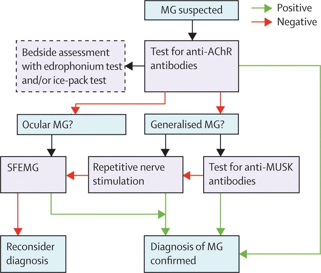 Figure 2 DIAGNOSZTIKUS ALGORITMUS AChR és MUSK AT: elérhetőek The Lancet Neurology 2009 8,