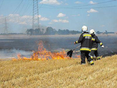 Értékelés 2012.