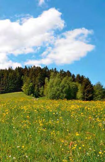 meghajtásokra.* A Hörmann jó példával szeretne elöl járni. Ezért az energiaszükségletének 100 %-át zöldáramból fedezi.