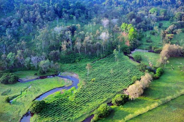 PHONG NHA KE BANG: A BARLANGI KIRÁLYSÁG MAGYARUL A nemzeti park Ázsia legrégebbi, kb. 400 millió éves karsztvidéke. 2003 óta az UNESCO világörökség része.