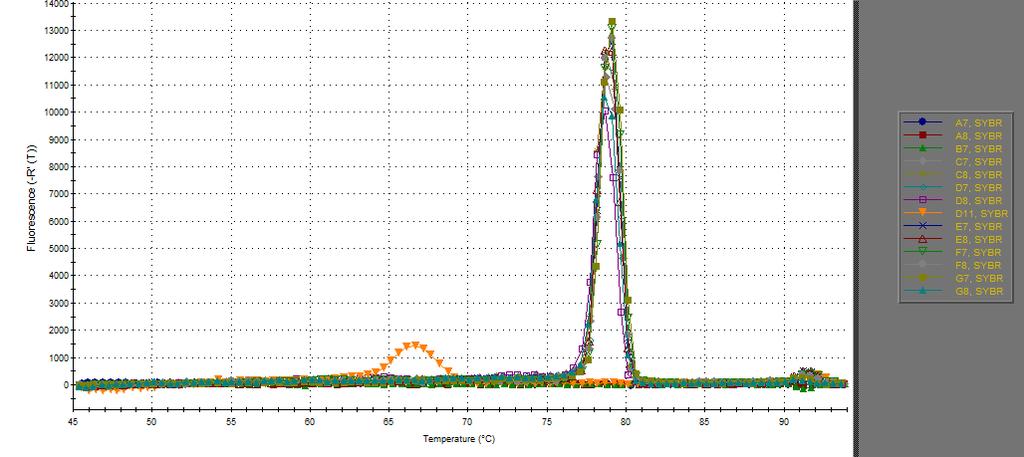 A 35. ábrán bemutatott disszociációs görbe jelentősége, hogy minőségileg is beazonosíthatjuk a qpcr reakció során kapott PCR termékeket, és meghatározhatjuk az esetleges nem specifikus termékek