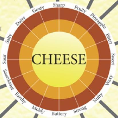 (2010), DESCRIBING FLAVOR USING FEWER AND SIMPLER