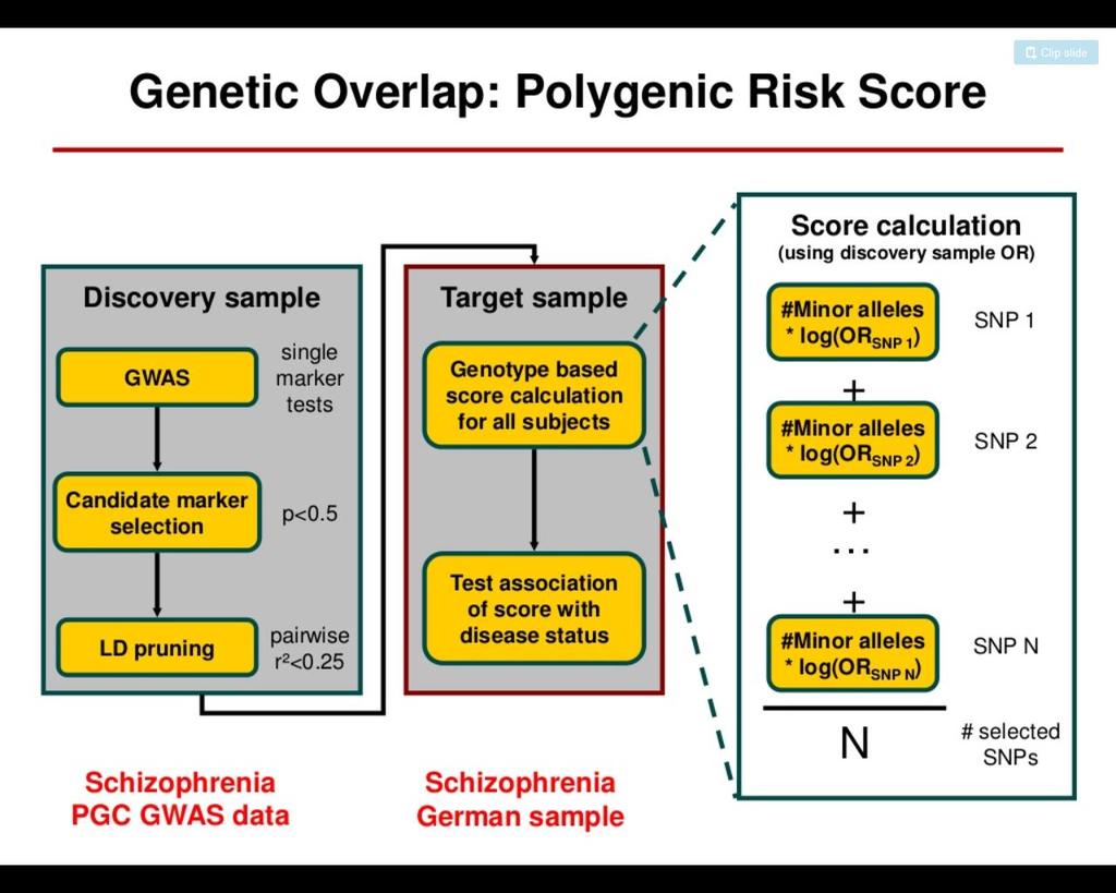 Genetikai kockázat (GRS) GWAS vizsgálatok Nincs a priori hipotézis Független a biológiától Új és váratlan gének azonítása új kandidáns