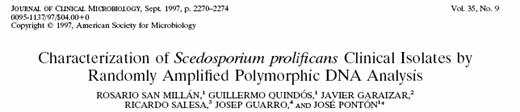 Scedosporium prolificans molekuláris tipizálása