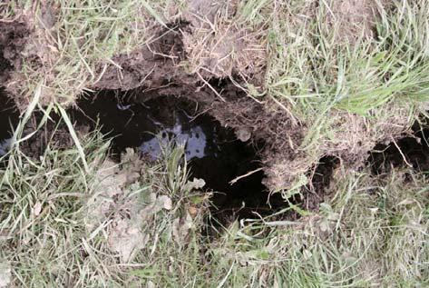 A szúrópálcás vizsgálat azt mutatta, hogy mind a suvadás, mind a mellette lévő talaj rendkívül puha volt, a szúrópálca csaknem akadálytalanul jutott le 1 m-t, vagyis a teljes hosszát a talajban.