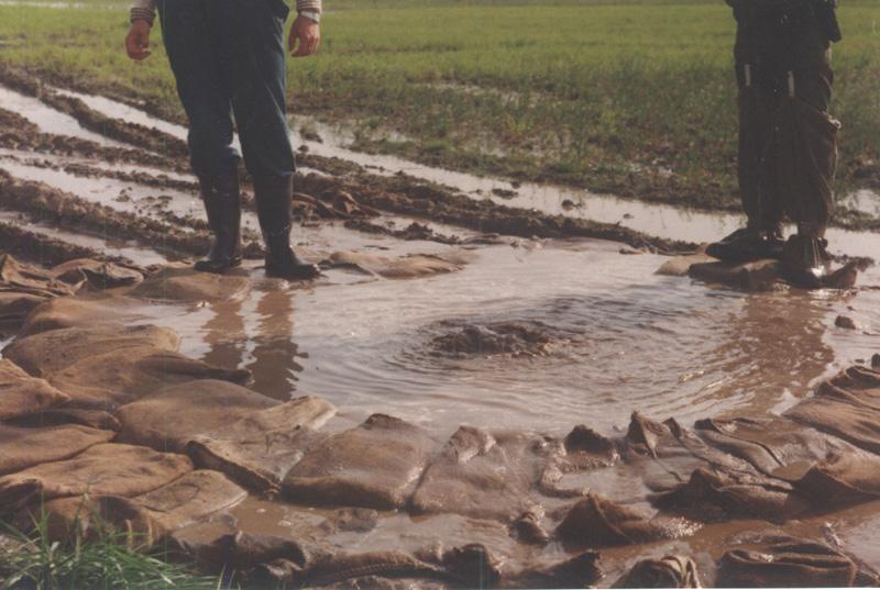 gyensúlyt a talajszemcséket elragadni törekvő folyóbeli víznyomással. 13-83. kép. Tiszasasi buzgár, közvetlenül a felfedezése után.