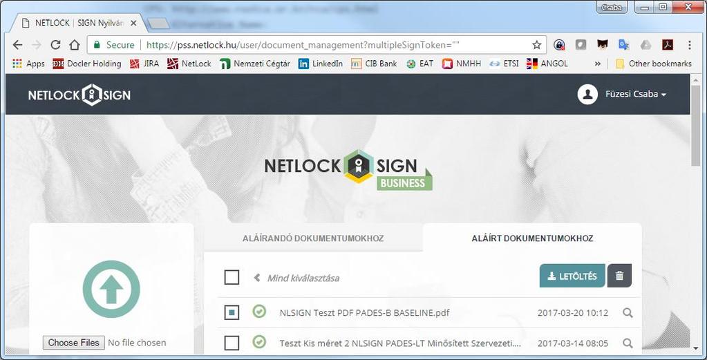 A NETLOCK SIGN megoldás az összes Európai Unió által elfogadott új generációs aláírás-formátum támogatására képes, de a NETLOCK SIGN Business nyilvános aláíró portálban jelenleg a következő