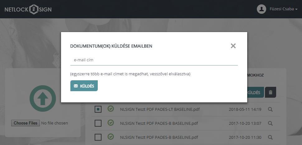 kezdeményezni az e-mail küldés funkciót. A funkció indítását követően felugró dialógusablakban lehet megadni egy vagy több címzett e-mail címét.