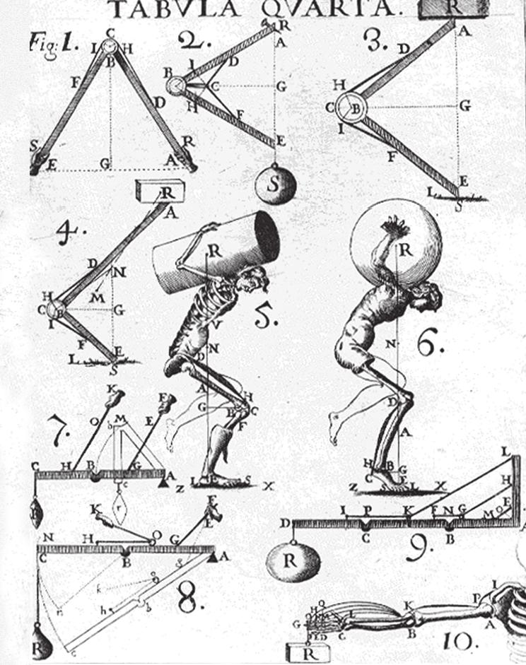 Biomechanikai számítások a különböző helyzetekben Isaac Newton (1642 1727) kiemelkedő fizi - kus volt, a biomechanika fejlődéséhez indirekt módon járult hozzá: a fizikai törvények leírásához használt