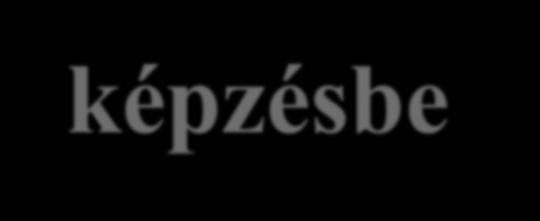 A képzésbe történő belépés feltételei Központi írásbeli felvételi magyarból és matematikából, melynek eredményét 50 %-ban számítjuk be. (Max.