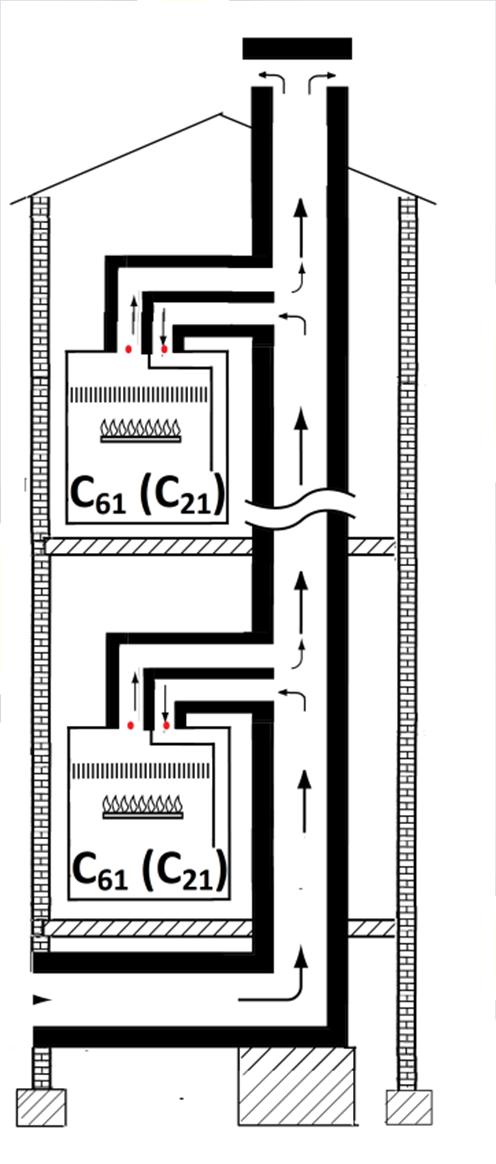 C61 (C21)