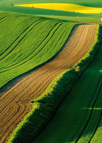 A Good Growth Plan a Syngenta jövőképe A KIHÍVÁSOK A világ népessége naponta 200.