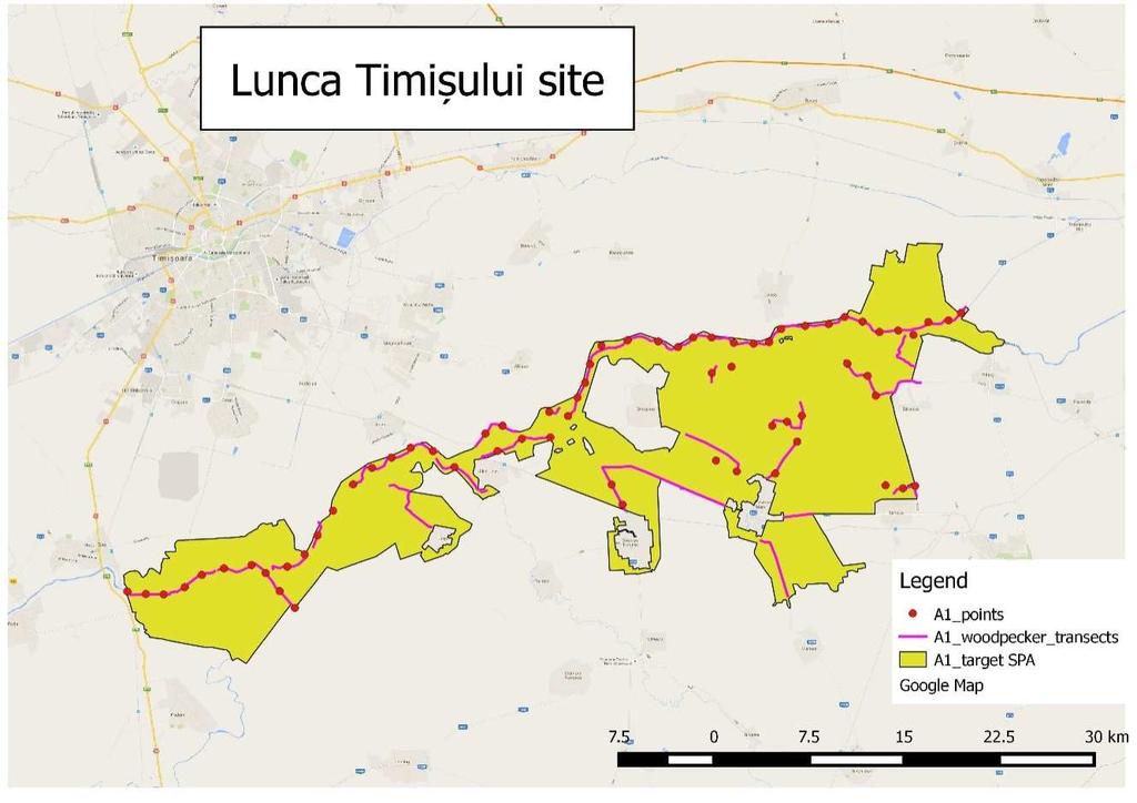 3. Lunca Timișului site: 67 observation points b.) Preparing of habitat maps in occupied territories and control areas.