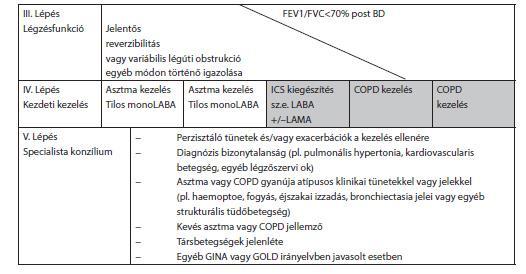 VII. JAVASLATOK AZ AJÁNLÁSOK ALKALMAZÁSÁHOZ 1. Az alkalmazás feltételei a hazai gyakorlatban 1.1. Ellátók kompetenciája (pl. licence, akkreditáció stb.